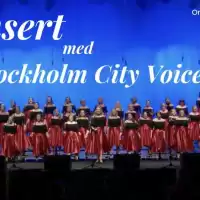 Evenemang: Konsert Med Stockholm City Voices